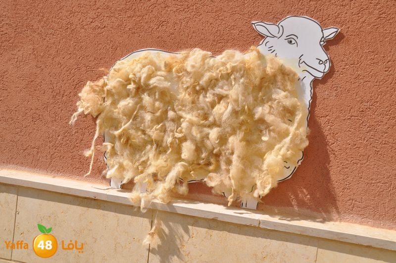 zahra2 lud 114 (17).JPG